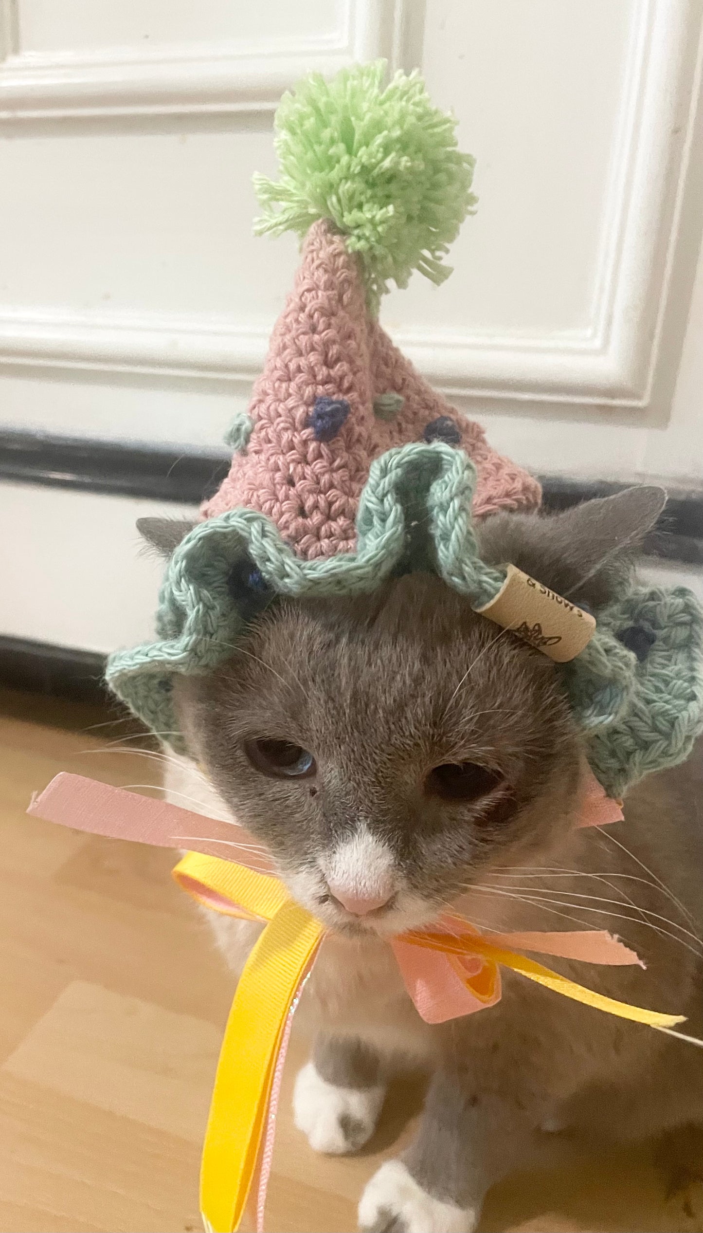 Cat dog birthday hat