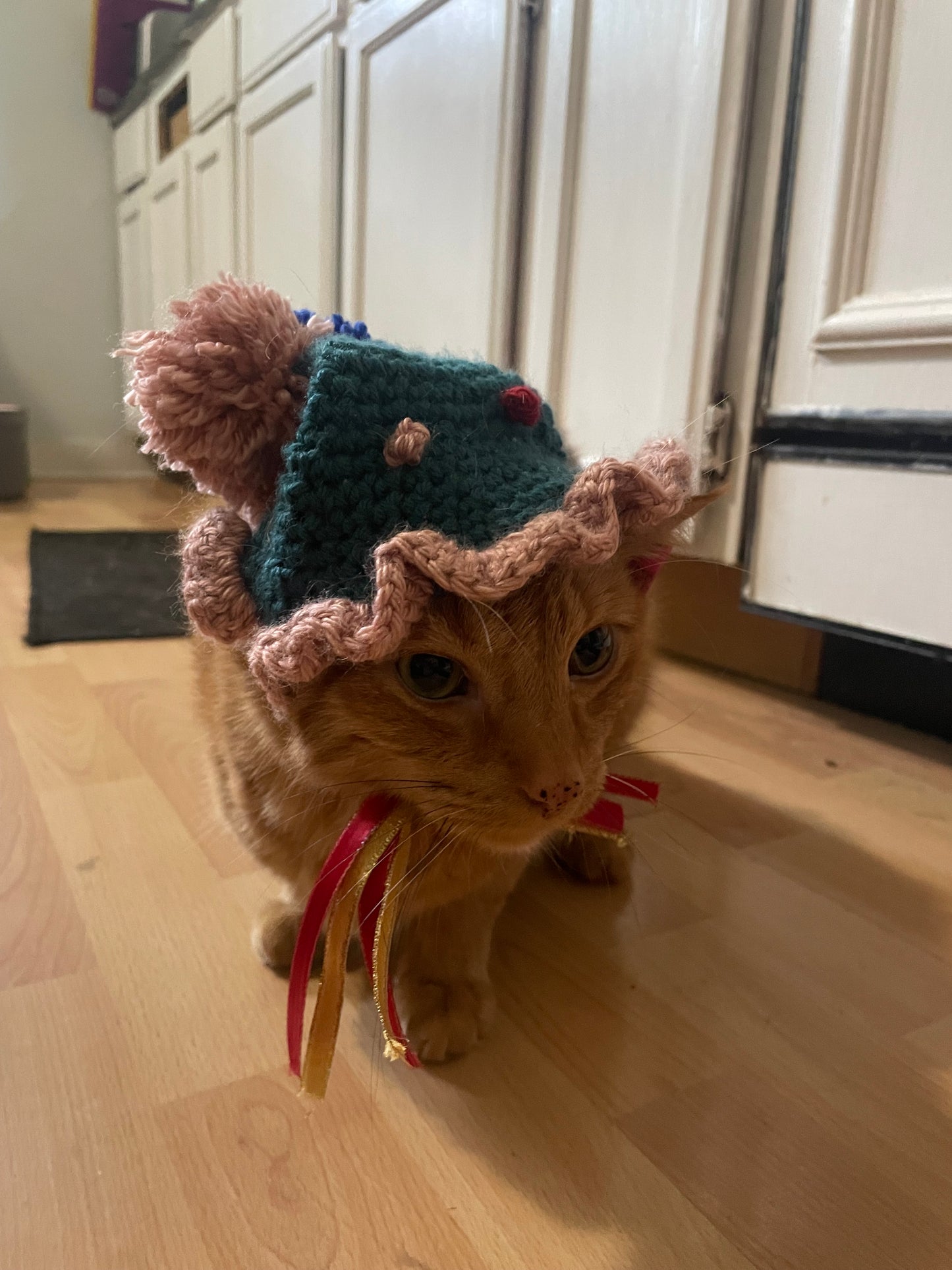 Crochet birthday hat for cats and dogs