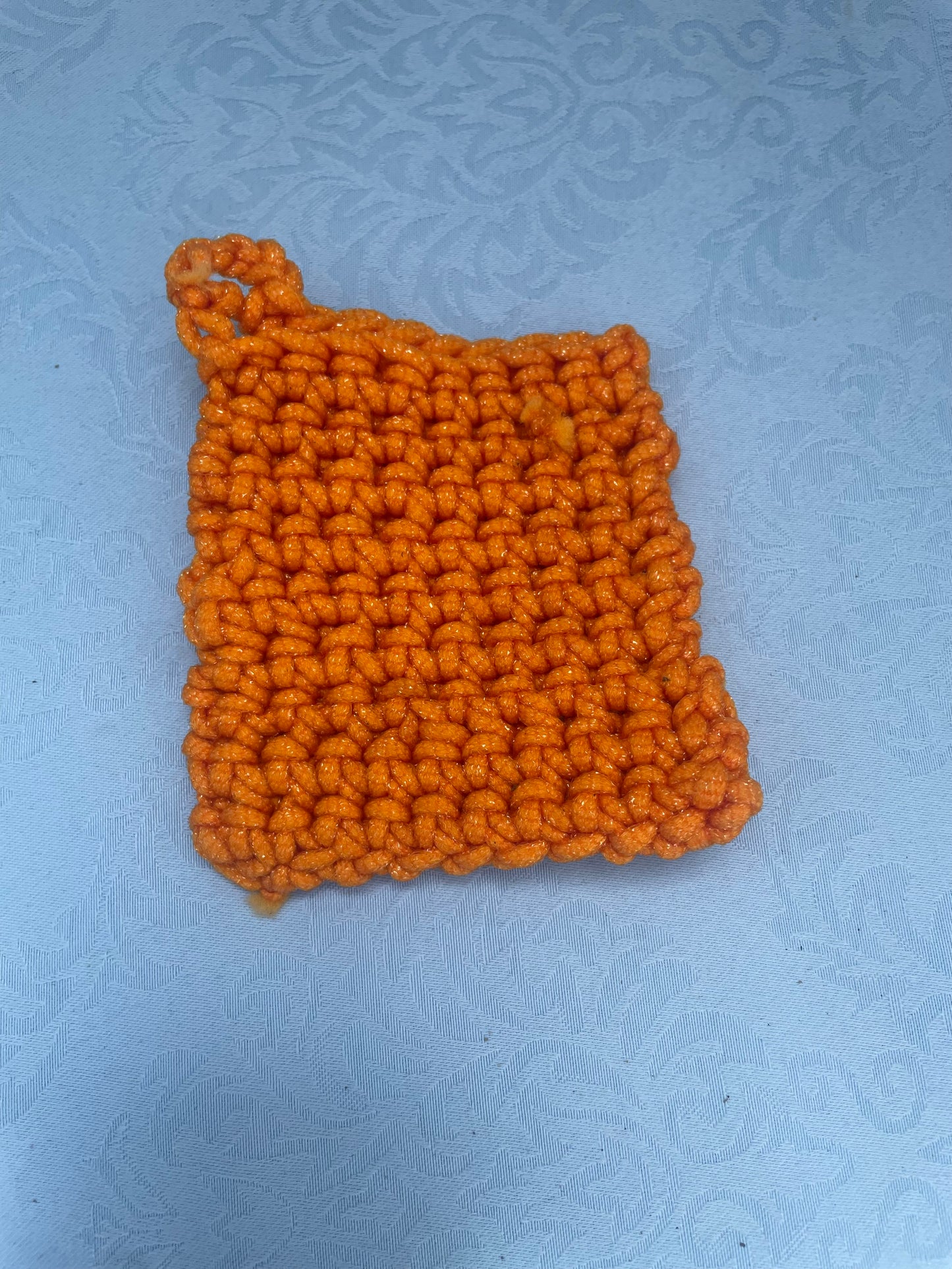 Dish Scrubby