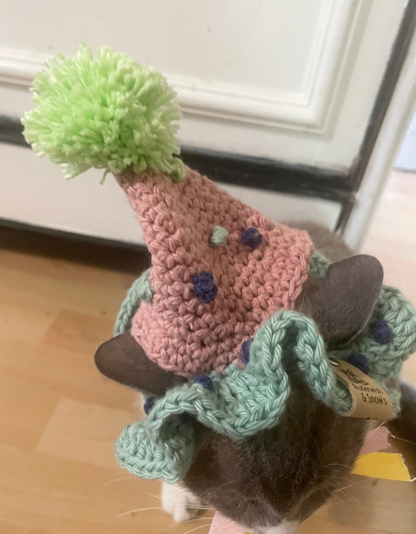 Cat dog birthday hat