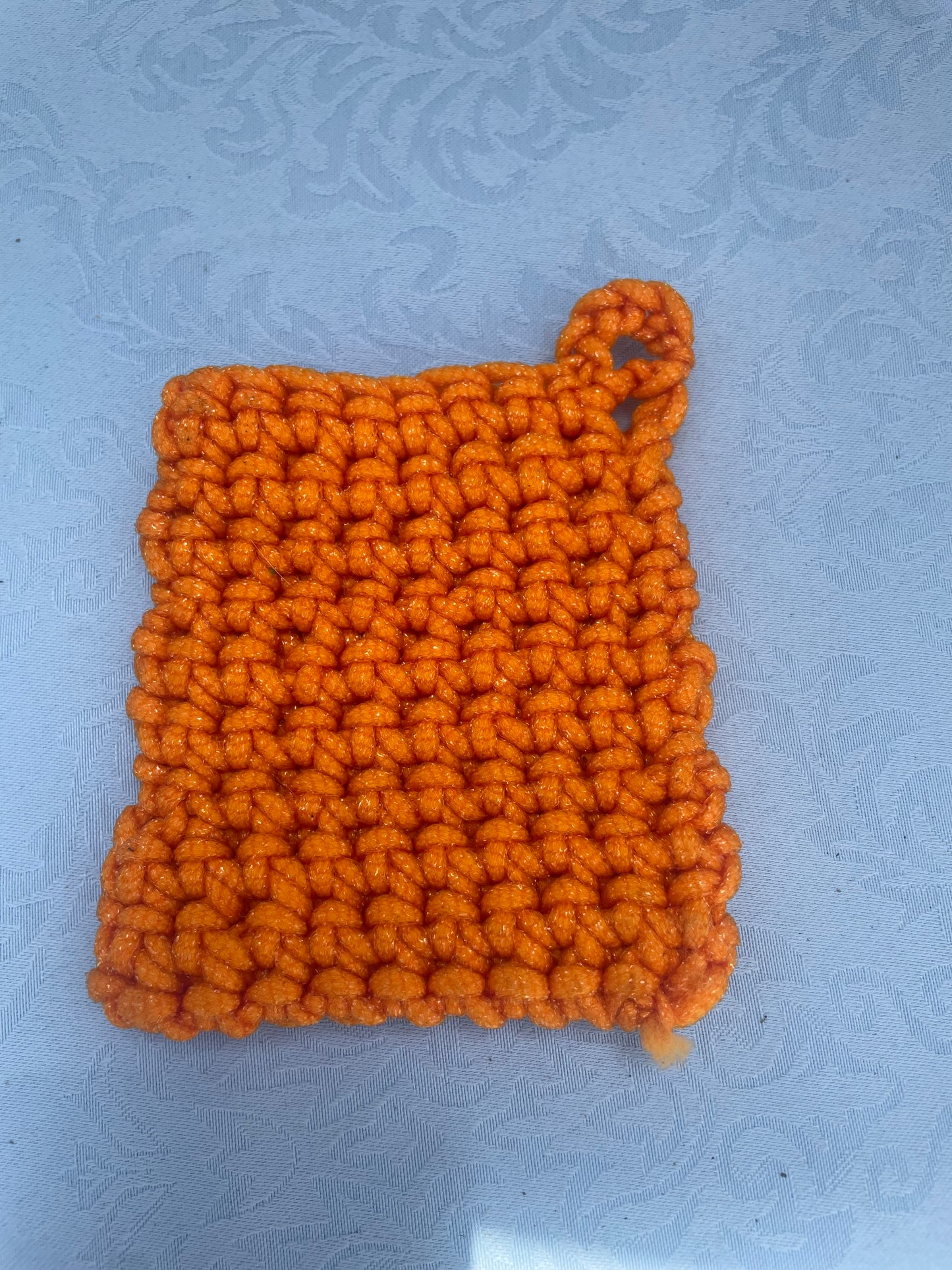 Dish Scrubby