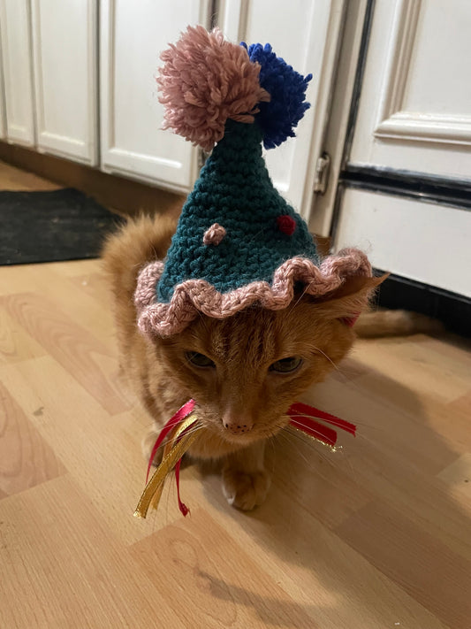 Crochet birthday hat for cats and dogs
