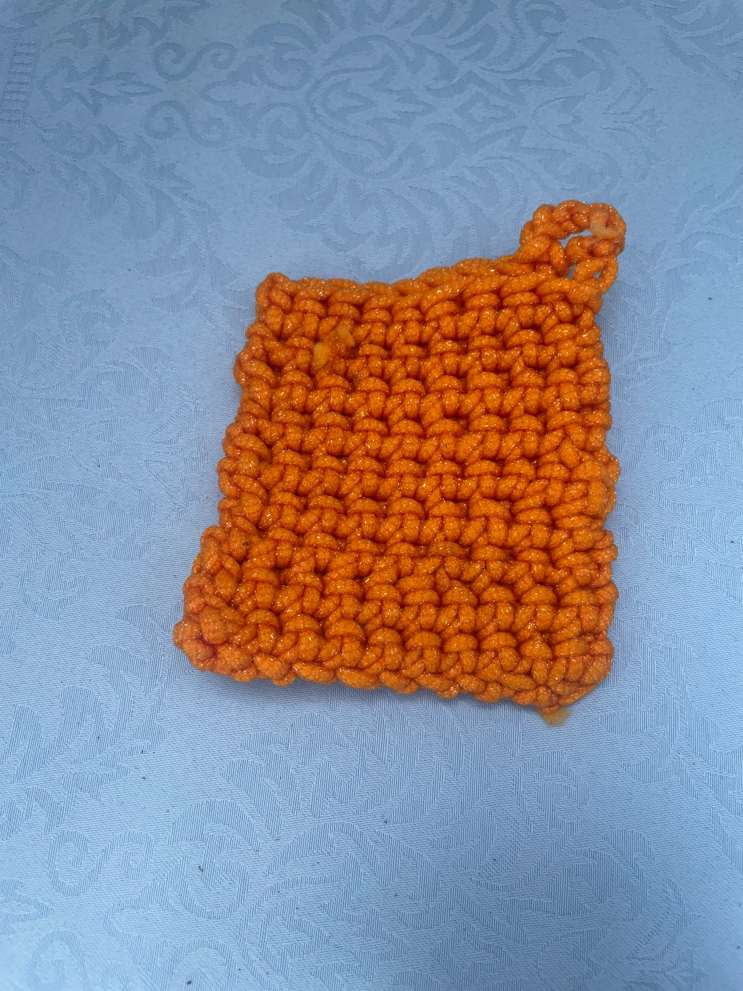 Dish Scrubby
