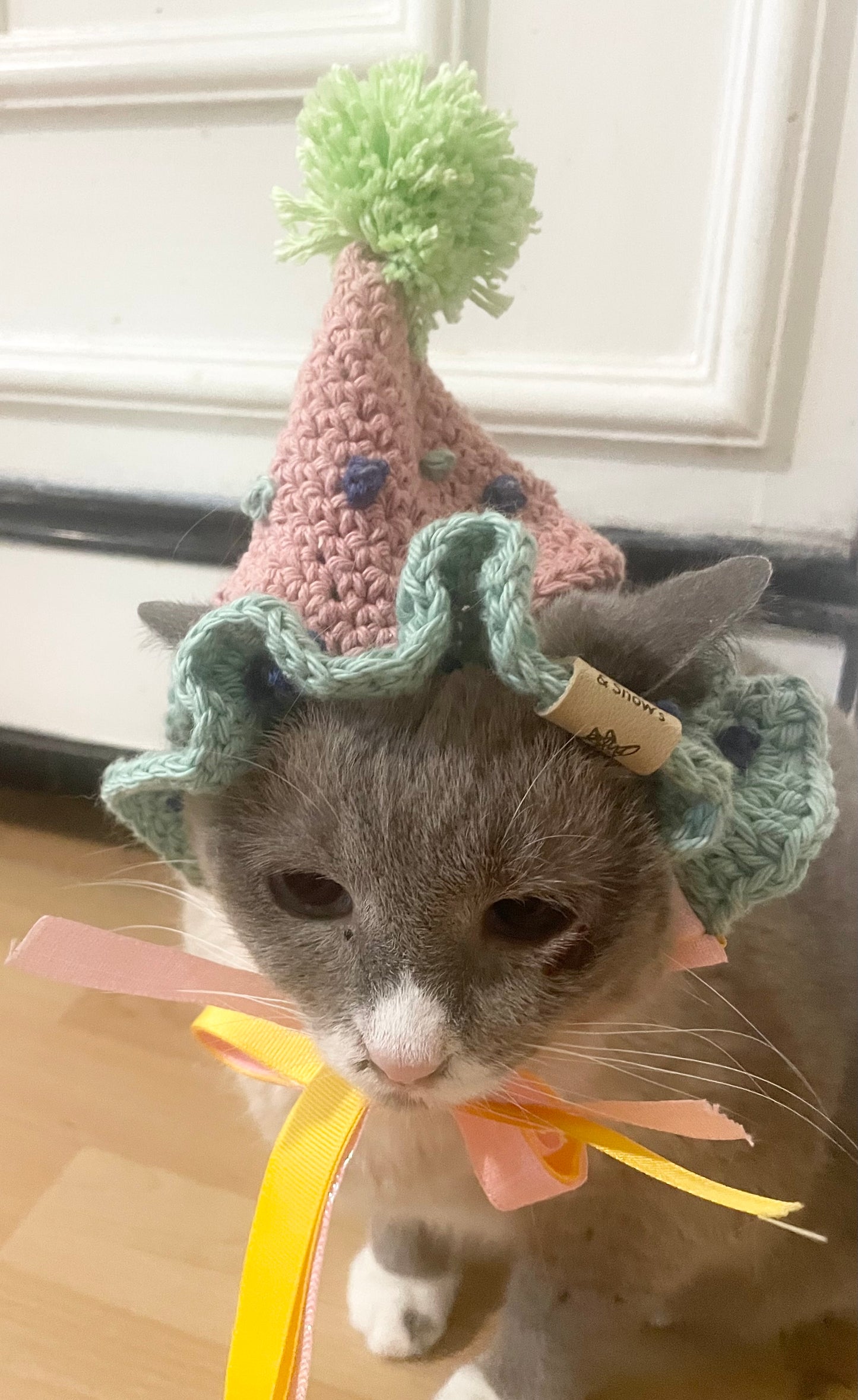 Cat dog birthday hat