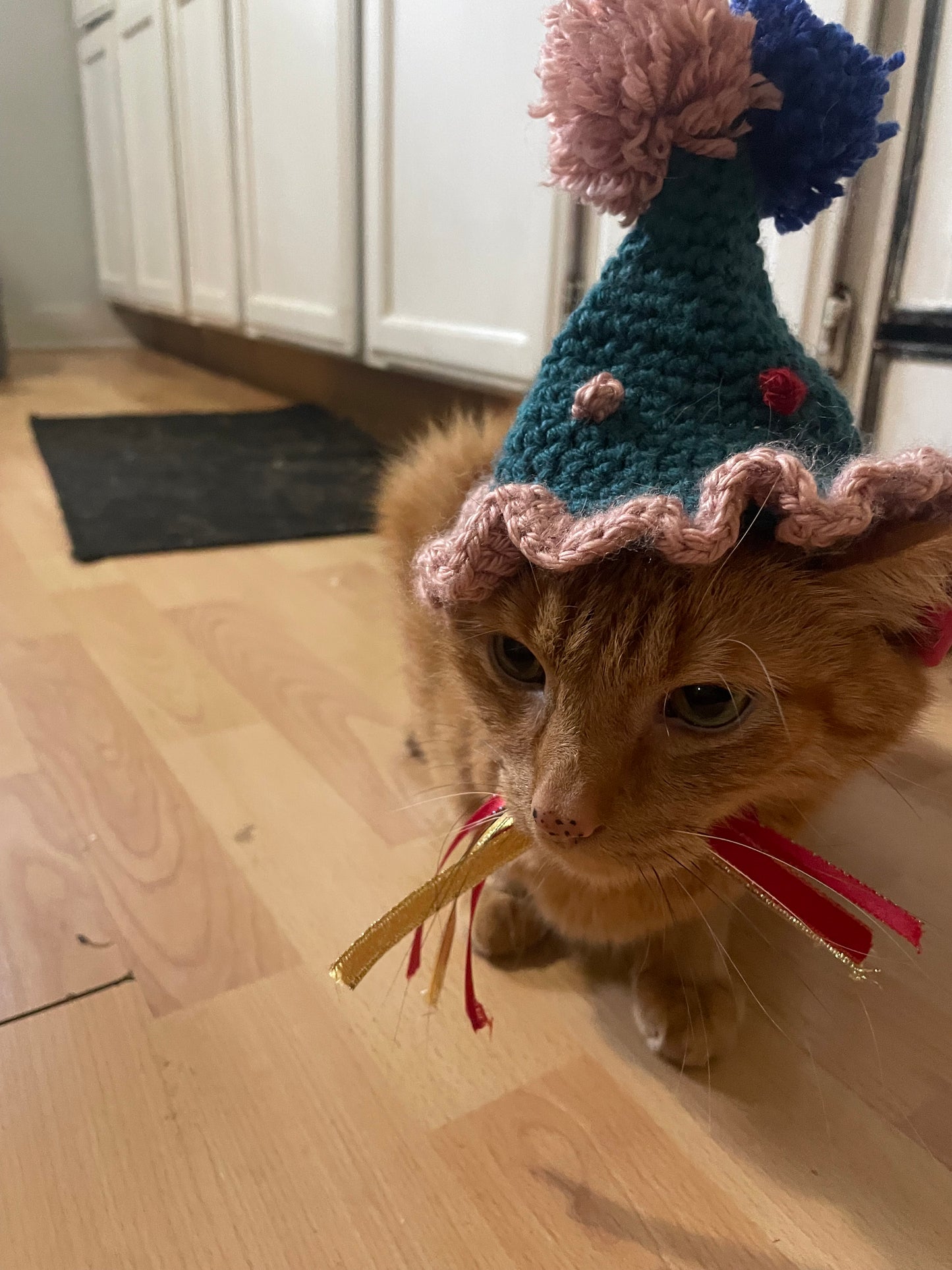 Crochet birthday hat for cats and dogs