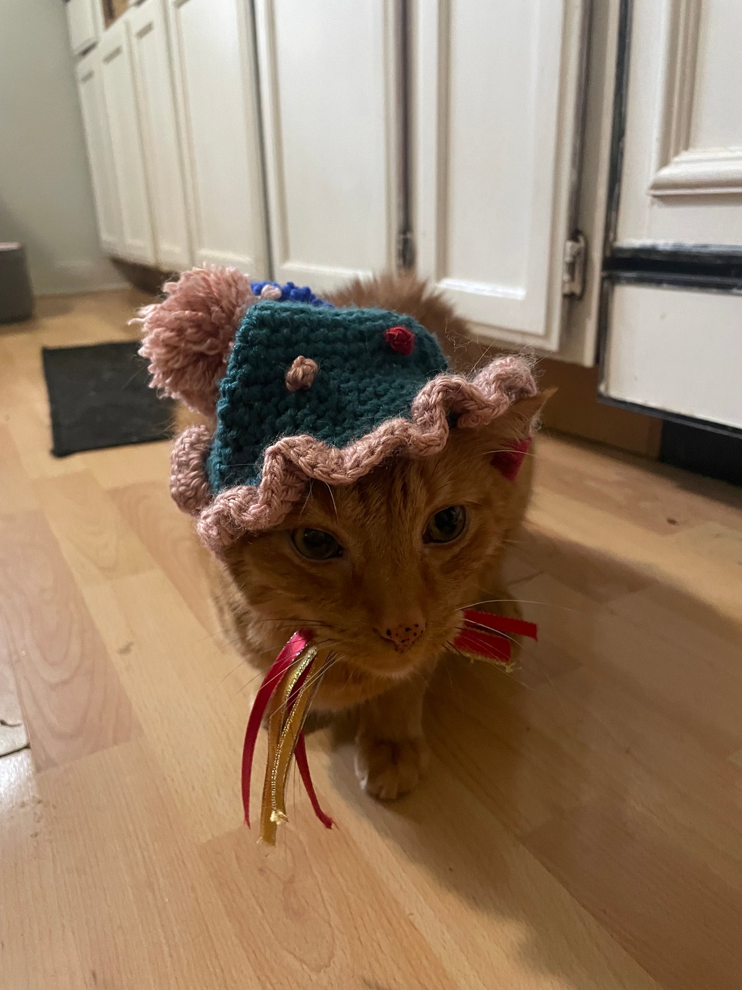 Crochet birthday hat for cats and dogs