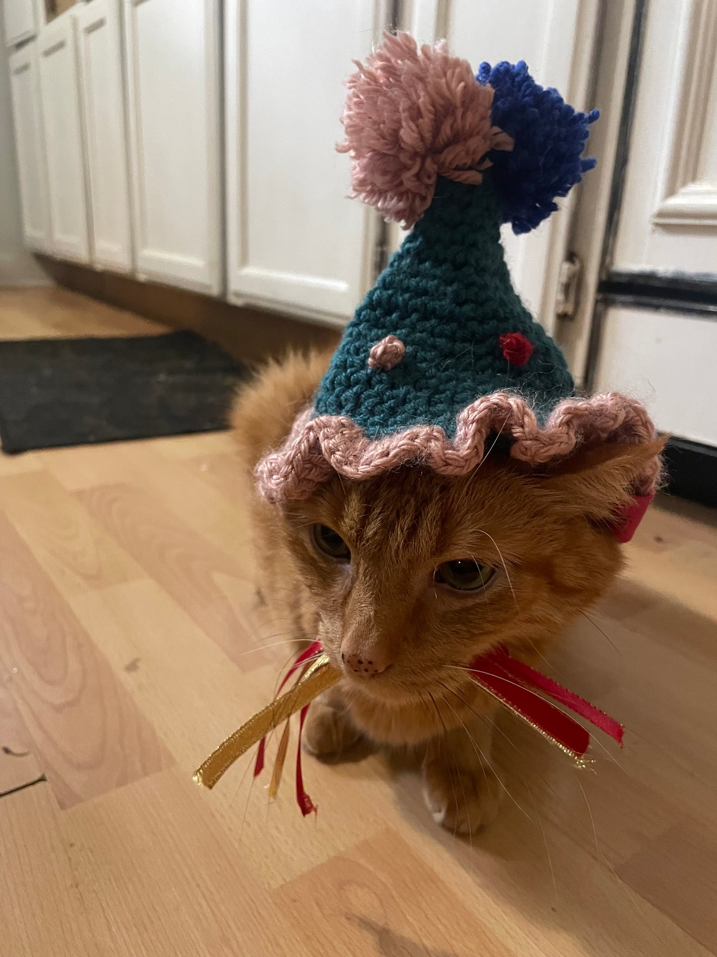 Crochet birthday hat for cats and dogs