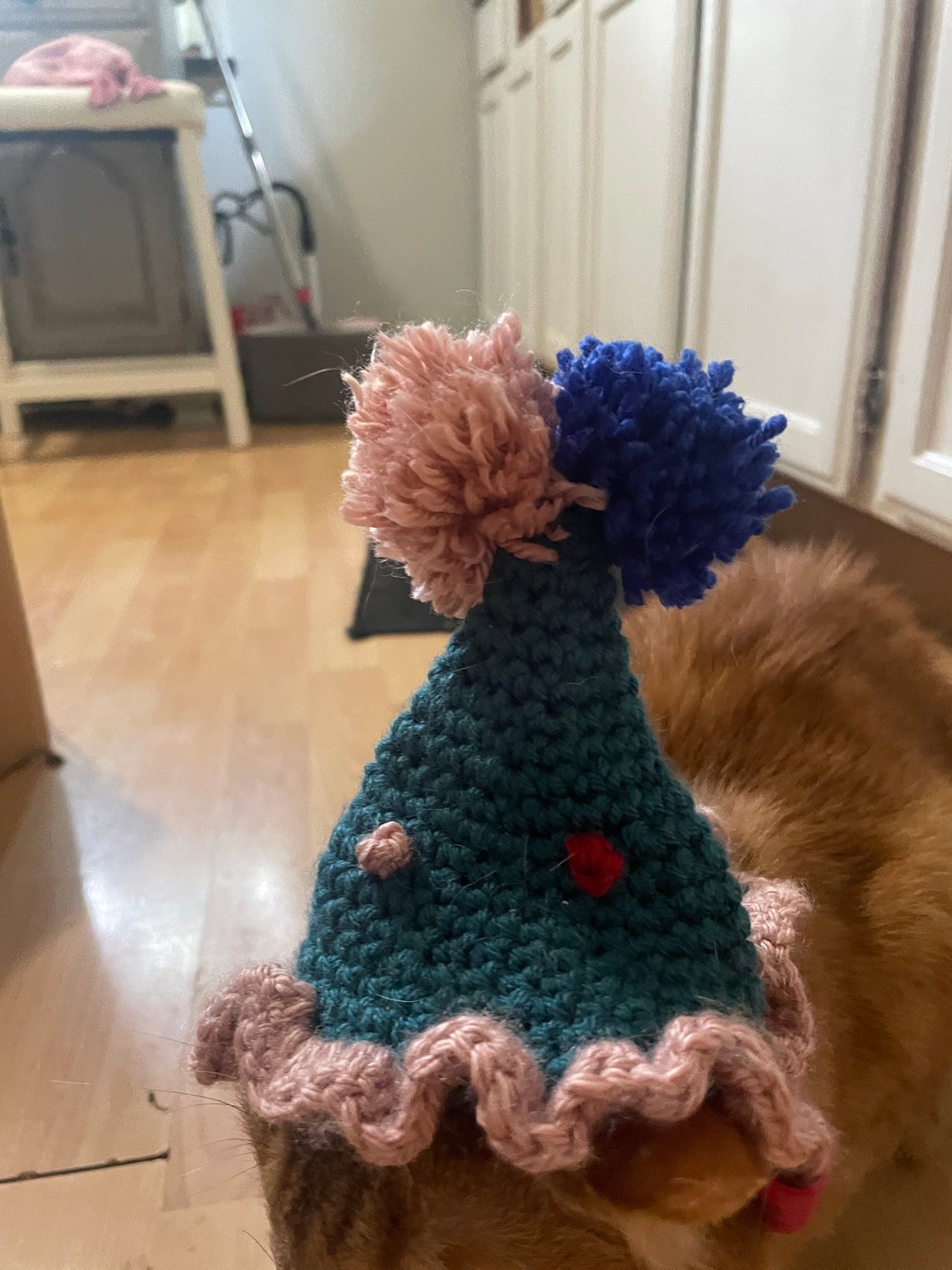 Crochet birthday hat for cats and dogs