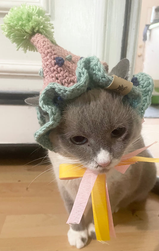 Cat dog birthday hat