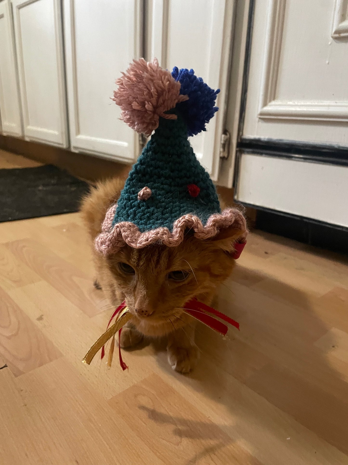 Crochet birthday hat for cats and dogs