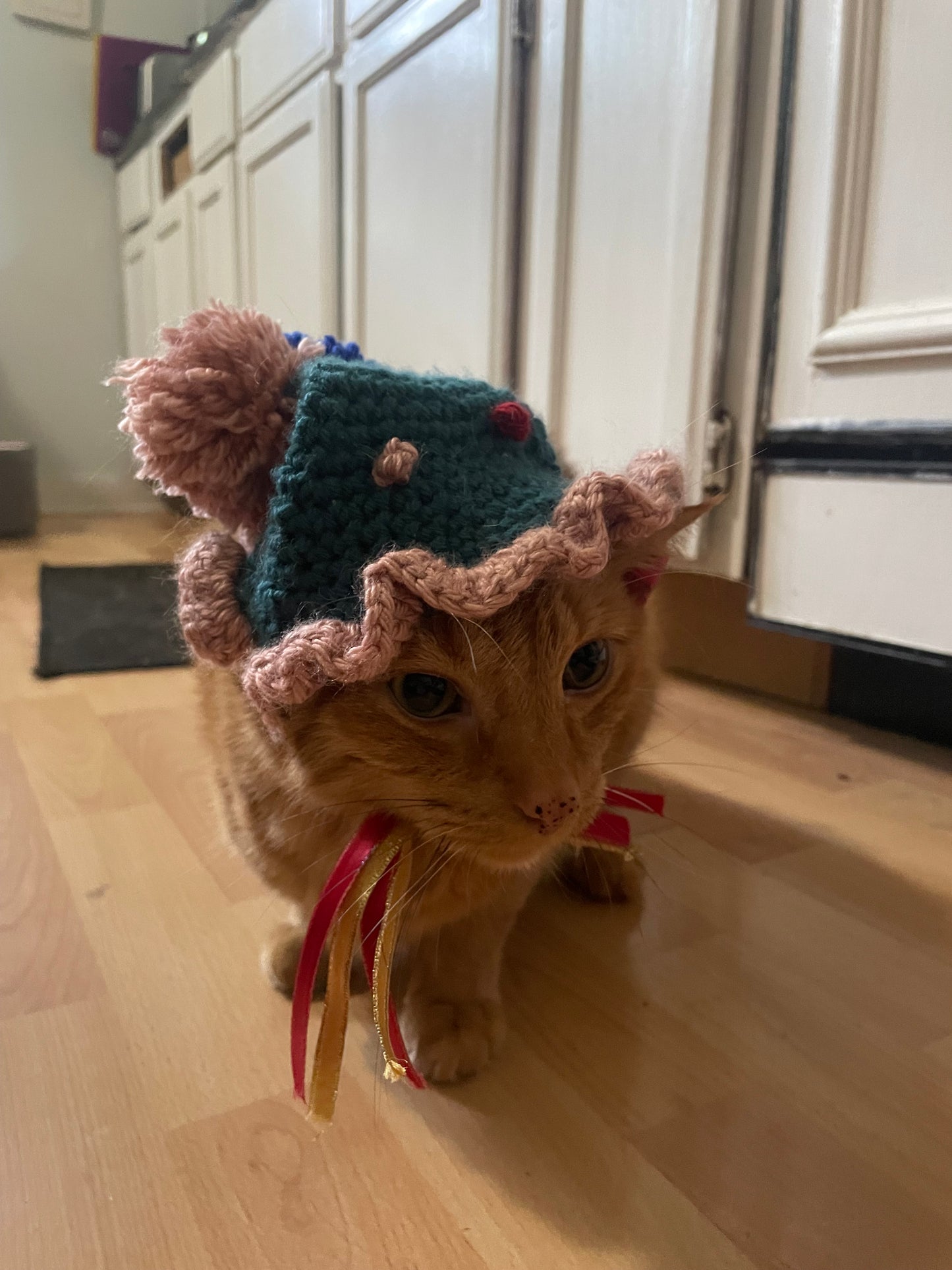 Crochet birthday hat for cats and dogs